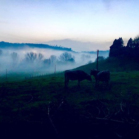 Fattoria Lucciano Villa Borghetto  Exteriör bild