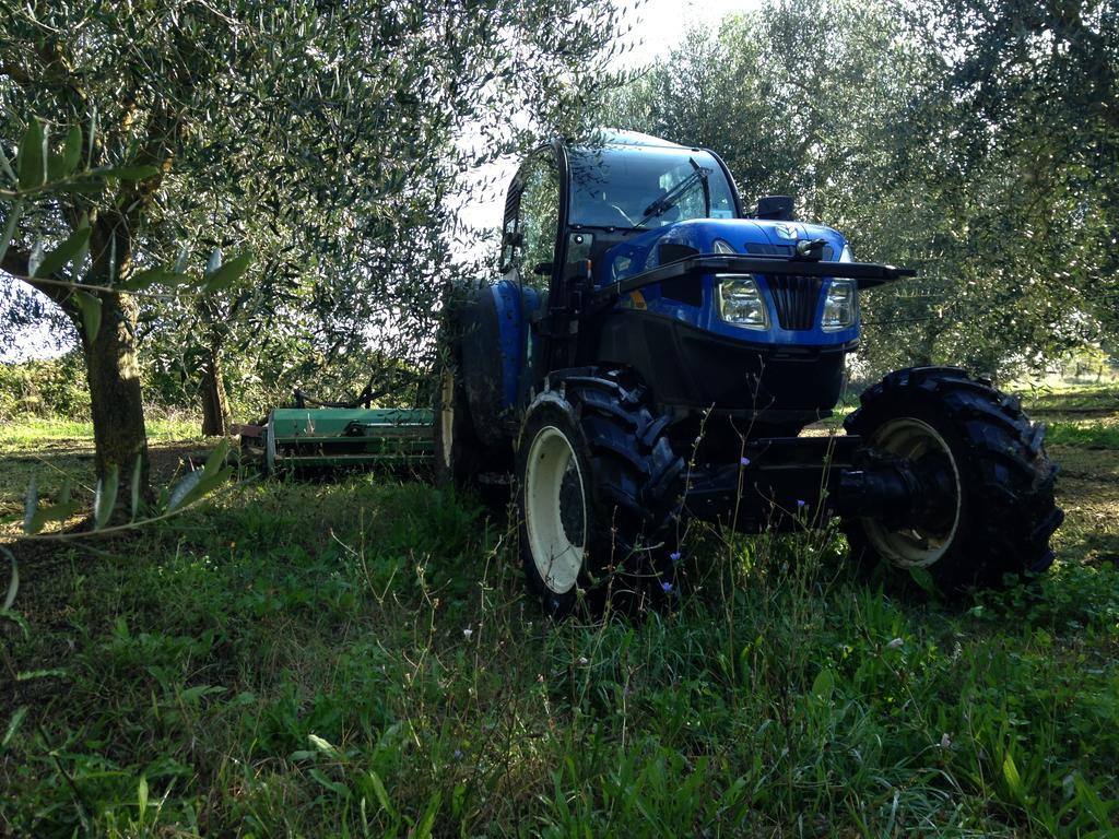 Fattoria Lucciano Villa Borghetto  Exteriör bild