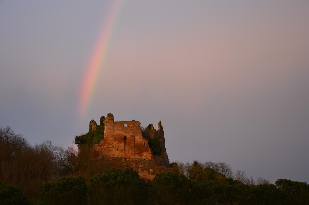 Fattoria Lucciano Villa Borghetto  Exteriör bild