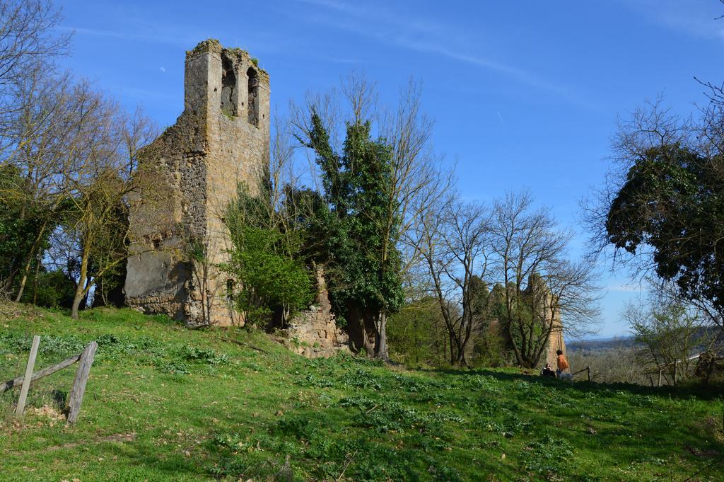 Fattoria Lucciano Villa Borghetto  Exteriör bild