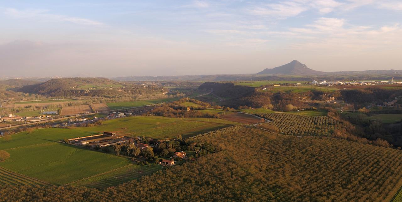 Fattoria Lucciano Villa Borghetto  Exteriör bild