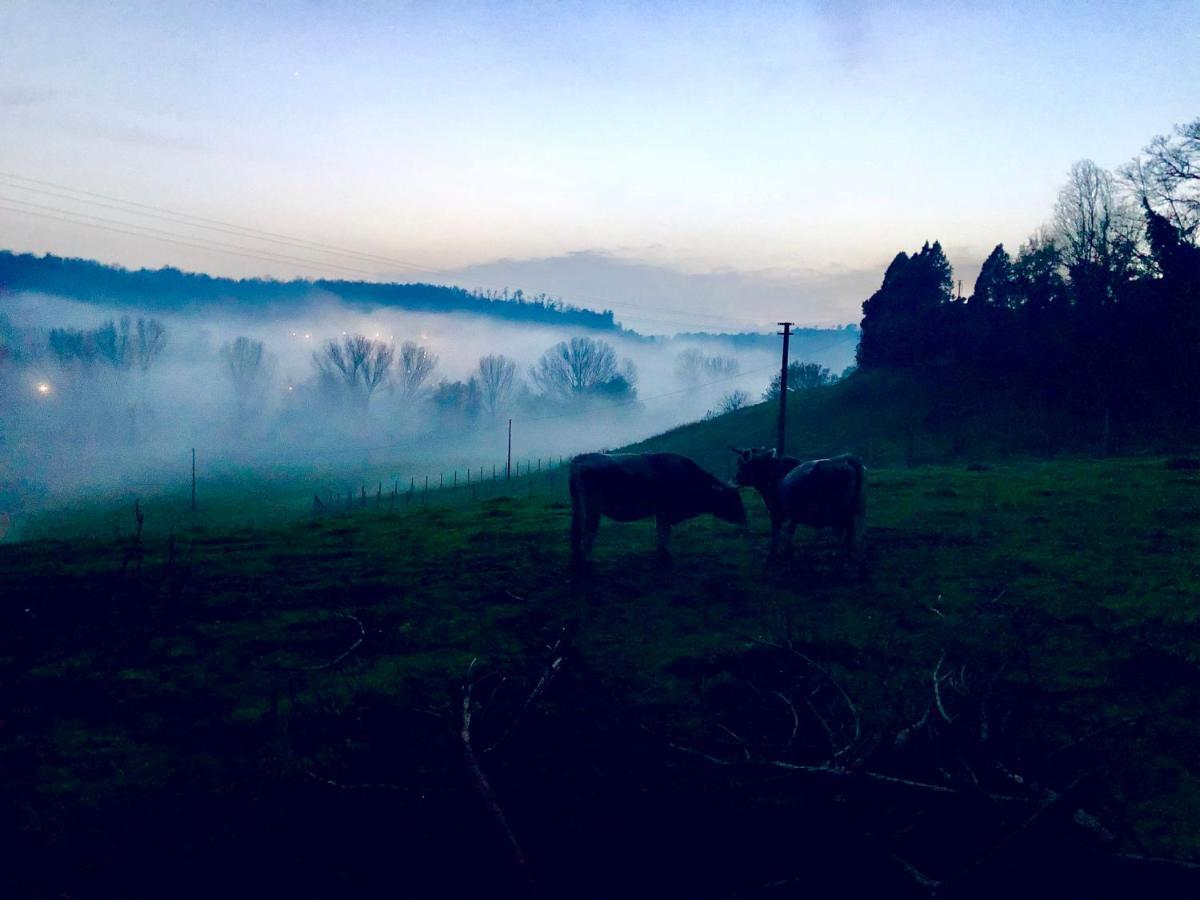 Fattoria Lucciano Villa Borghetto  Exteriör bild